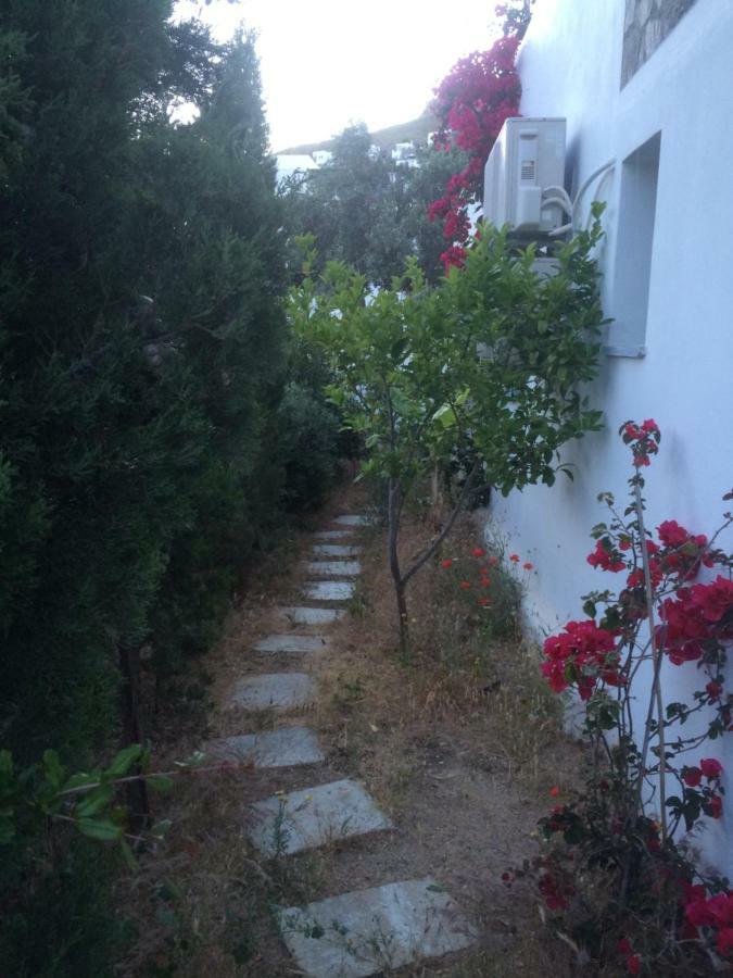 Summer Dream , 5 Min Walk To The Beach Livadakia Dış mekan fotoğraf